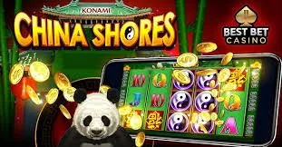 pkr65 Live Cricket Bet